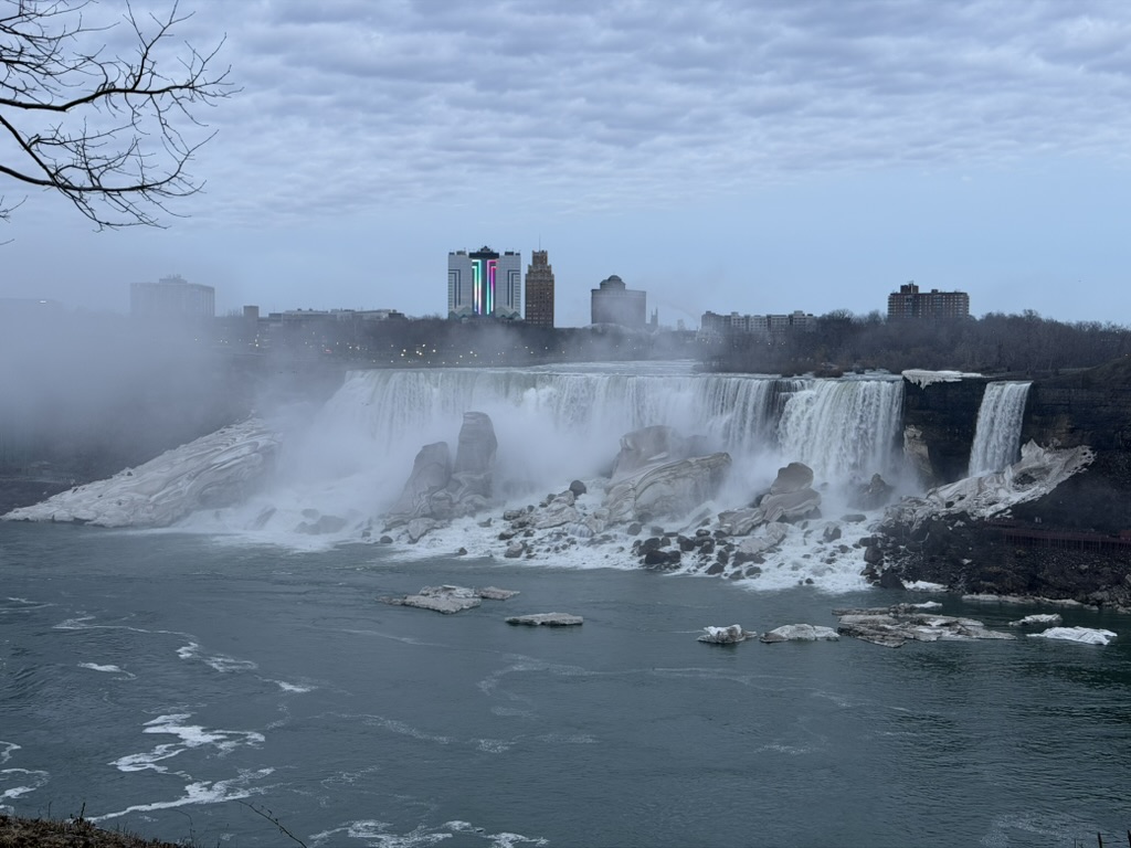 Niagara Falls during the conference visit.